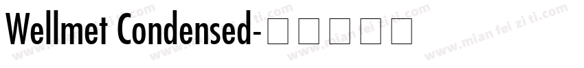 Wellmet Condensed字体转换